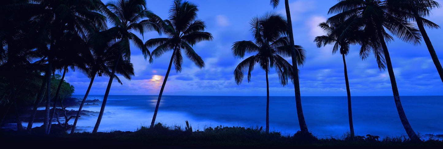 Indigo Moon
