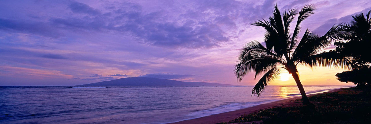 Island Escape
