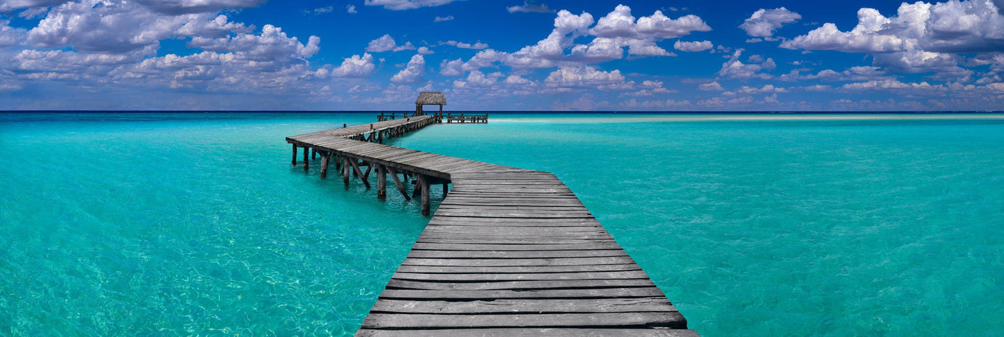 Island Dreams