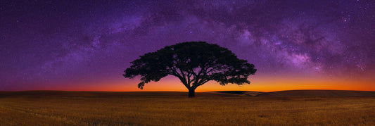 Celestial Dreams