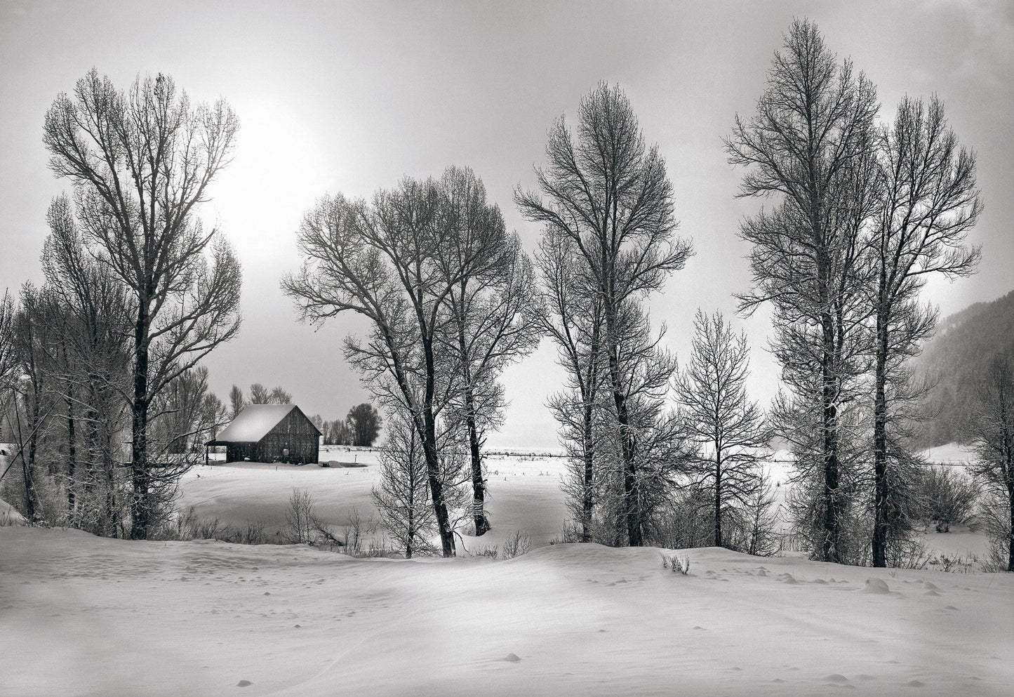 Christmas Morning