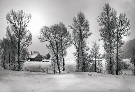 Christmas Morning
