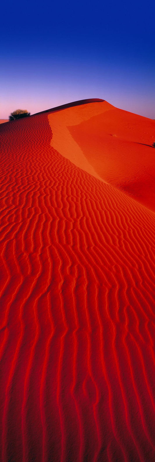 Cinnabar Sands