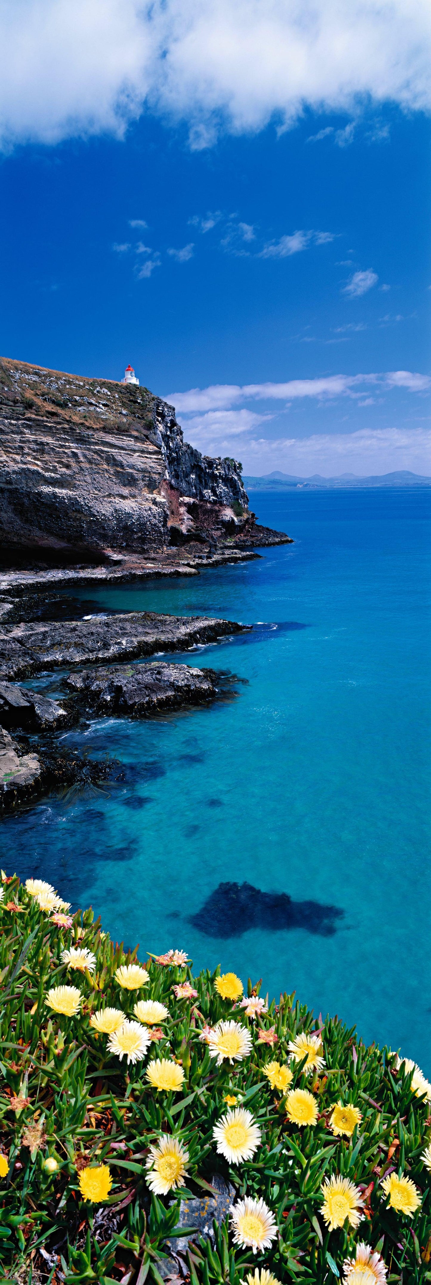 Cliffs of Colour