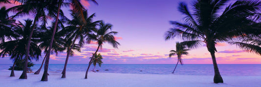 Coastal Breeze