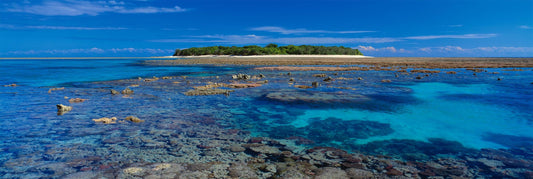 Coral Island Lady Musgrave