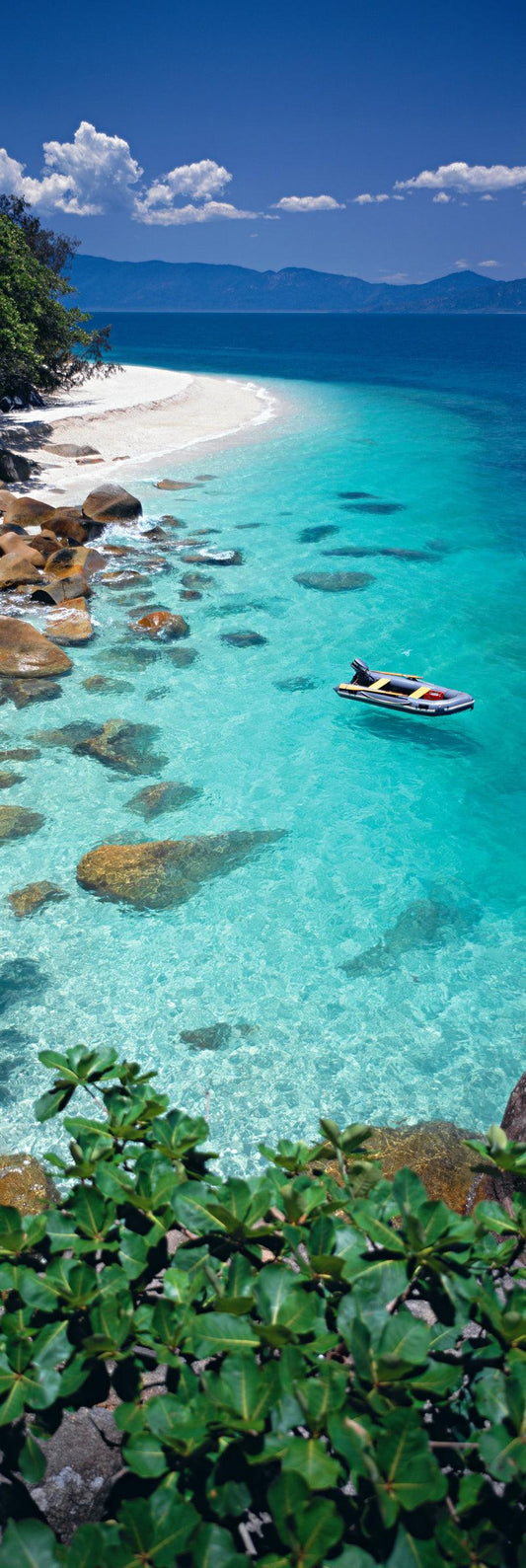Coral Sea Dreaming