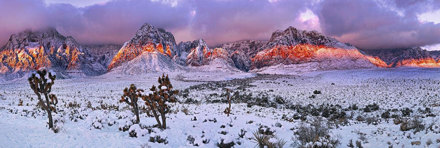 Desert Glow