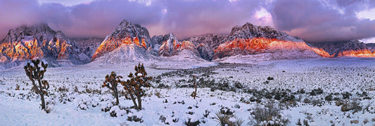 Desert Glow