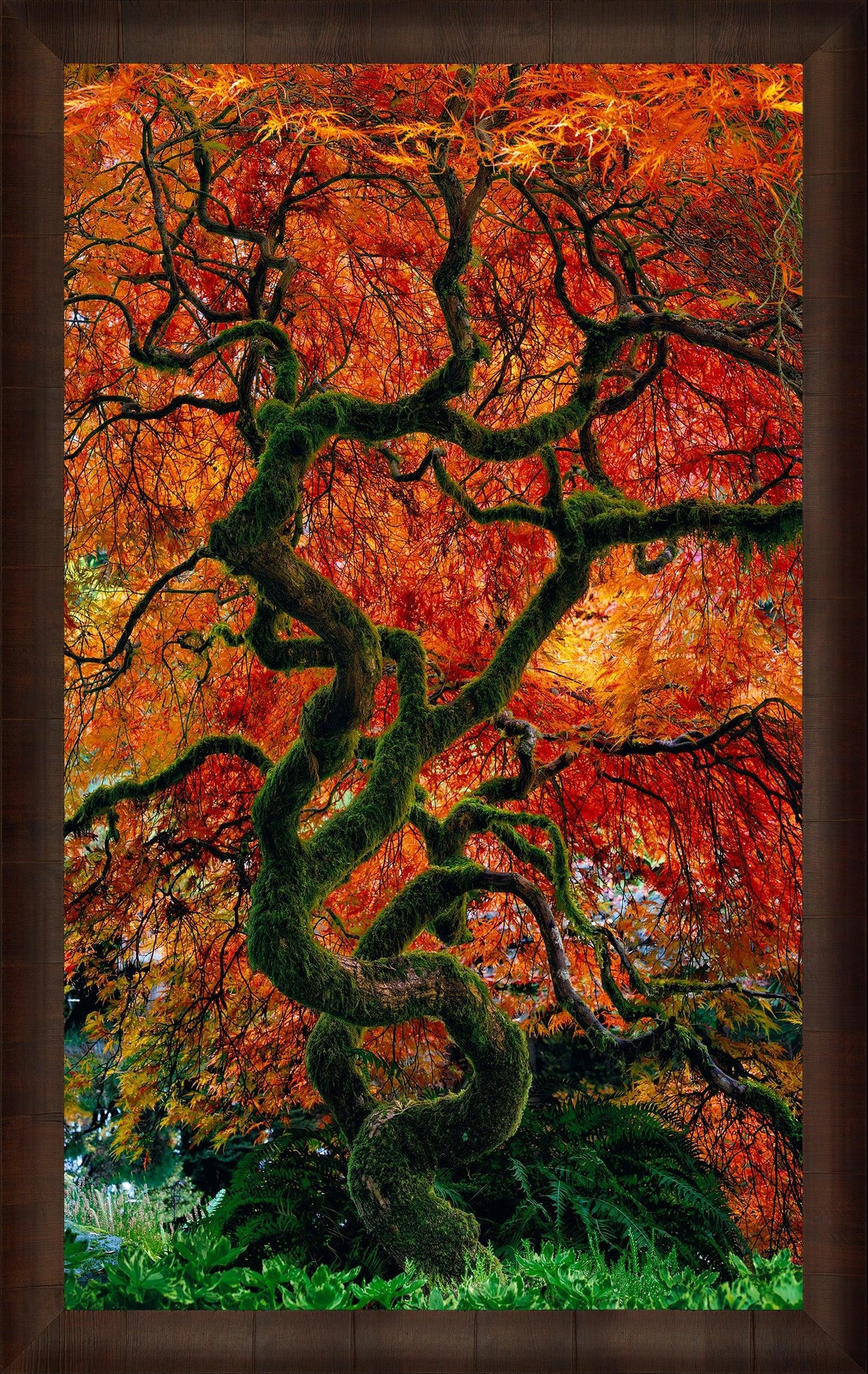 Infinity Tree