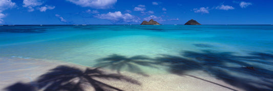 Island Hideaway