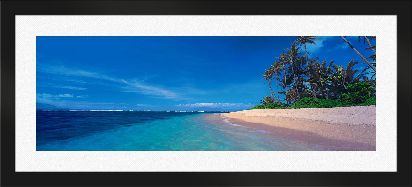 Island Oasis