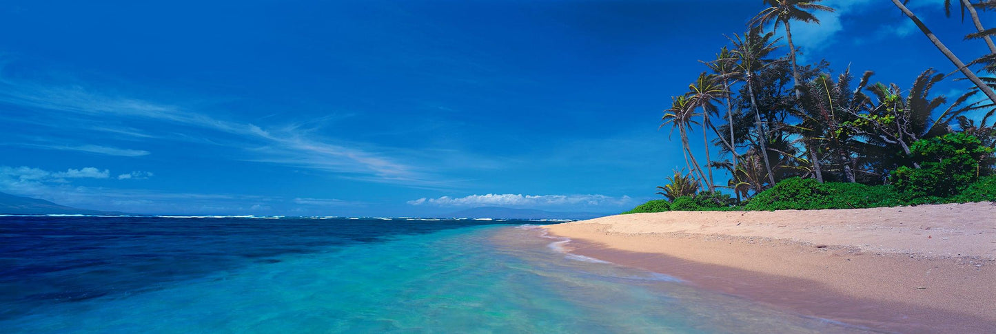 Island Oasis