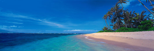Island Oasis