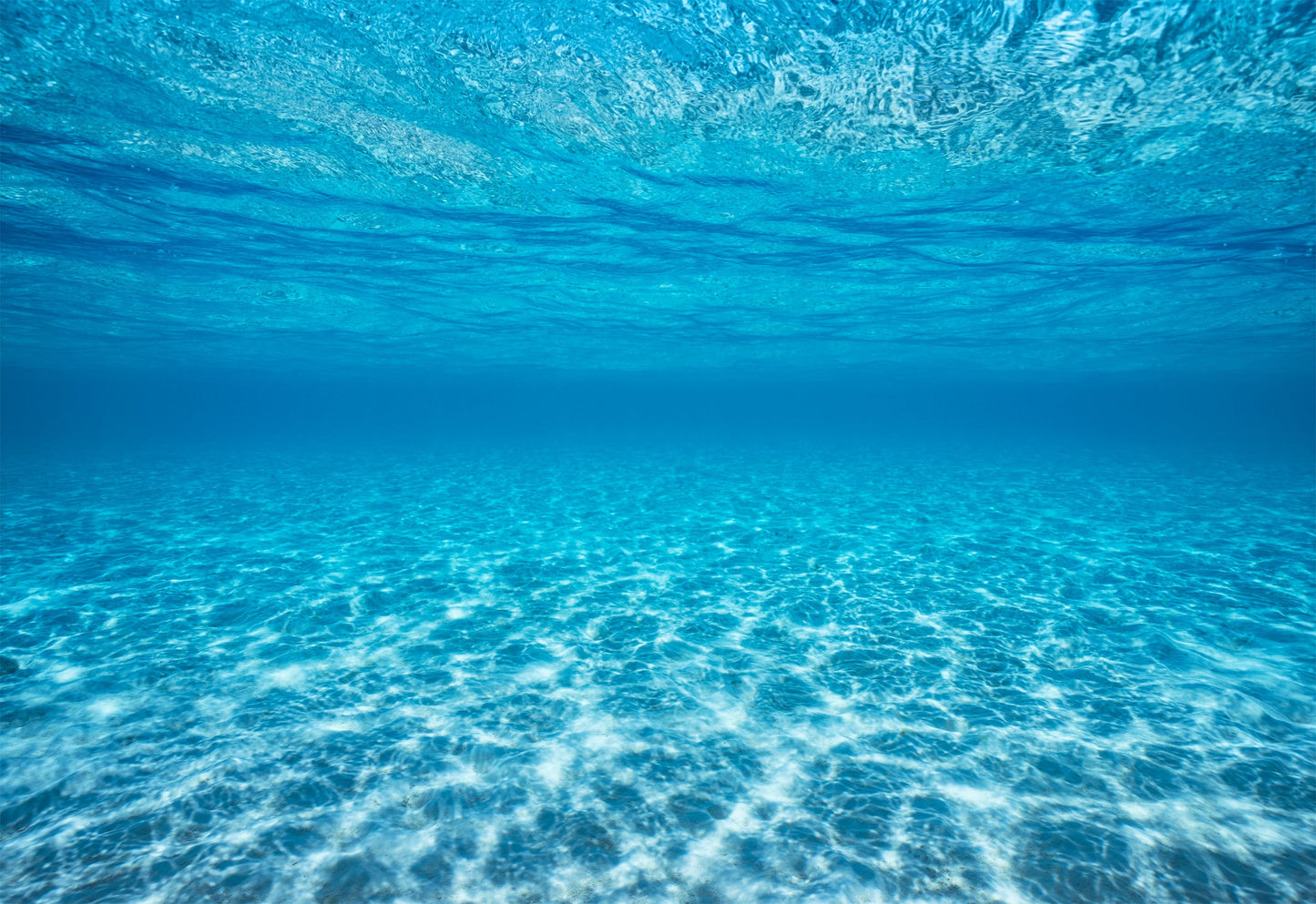 Jewel of the Ocean