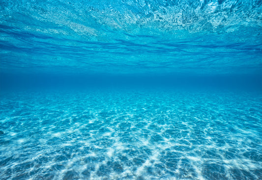 Jewel of the Ocean