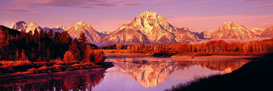 Majestic Morning