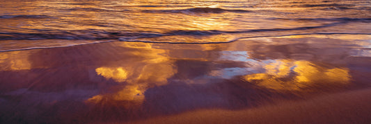 Maui Reflections