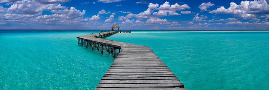 Island Dreams